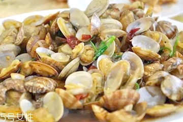 文蛤的形態(tài)特征 文蛤長什么樣子？