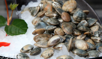 文蛤的選購(gòu)技法 文蛤怎么挑選？