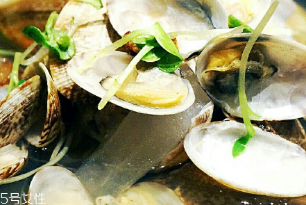 文蛤的選購(gòu)技法 文蛤怎么挑選？