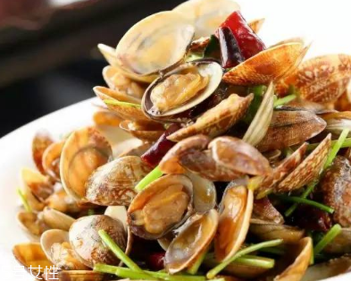 文蛤是堿性的嗎？文蛤是酸性的嗎？