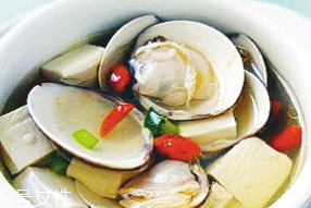 文蛤是寒性還是熱性？文蛤是寒性的嗎？