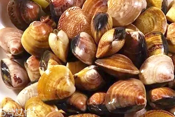 文蛤一定要煮熟嗎？文蛤能不煮熟嗎？