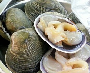 文蛤的熱量 文蛤吃了會長胖嗎？