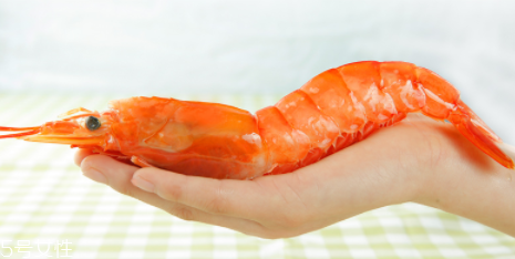 阿根廷紅蝦是海蝦嗎？阿根廷紅蝦是海里的嗎？