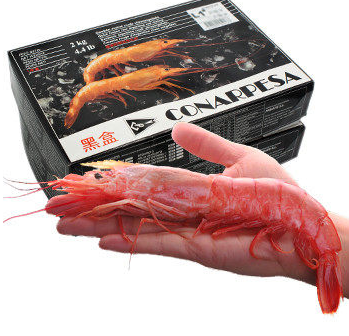 阿根廷紅蝦能白灼嗎？白灼阿根廷紅蝦好吃嗎？