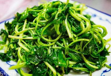 馬蘭頭是什么？什么是馬蘭頭？