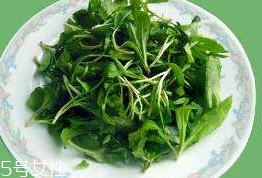 馬蘭頭對(duì)人的好處？馬蘭頭有什么好處？