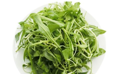 馬蘭頭是馬齒莧嗎？馬蘭頭和馬齒莧的區(qū)別