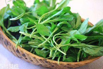 馬蘭頭的營養(yǎng)價值 馬蘭頭有什么營養(yǎng)？