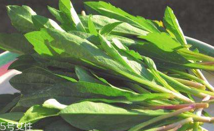 馬蘭頭怎么清洗？怎么洗馬蘭頭？