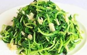 馬蘭頭能給孕婦吃嗎？孕婦能吃馬蘭頭嗎？