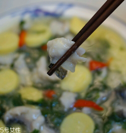 馬蘭頭可以煮魚湯嗎？馬蘭頭怎么煮魚湯