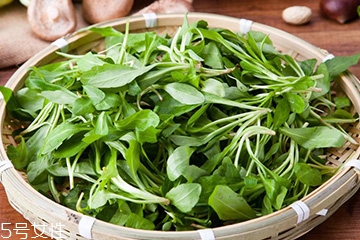 馬蘭頭可以煮魚湯嗎？馬蘭頭怎么煮魚湯