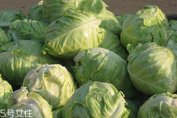 牛心菜是卷心菜嗎？牛心菜和卷心菜的區(qū)別