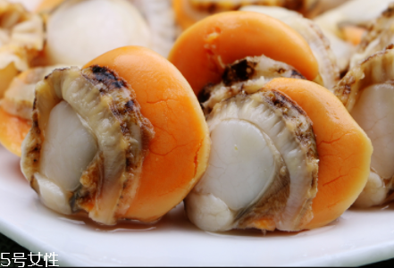 扇貝肉要煮多長時間？扇貝肉要煮幾分鐘？