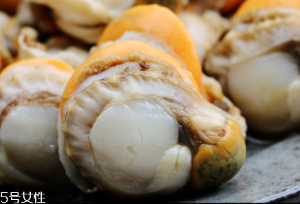 扇貝肉要煮多長時間？扇貝肉要煮幾分鐘？