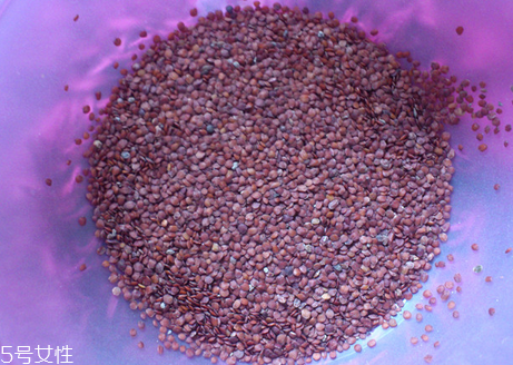 海藻面膜的功效與作用 用海藻面膜有什么好處？