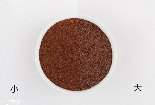 海藻面膜放什么最好？海藻面膜可以放什么？