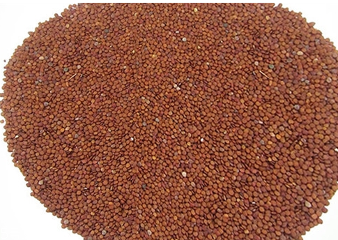 海藻面膜能祛痘印嗎？海藻面膜加什么去痘？