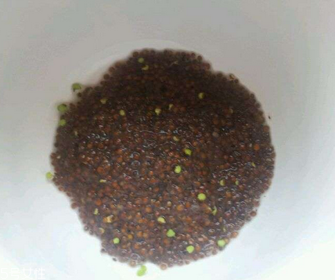 海藻面膜能祛痘印嗎？海藻面膜加什么去痘？