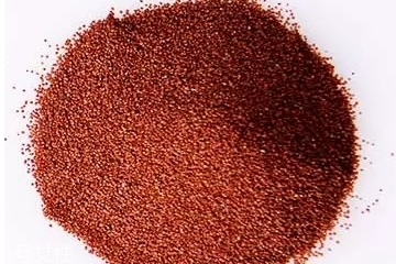 海藻面膜是什么種子？海藻面膜到底是什么？