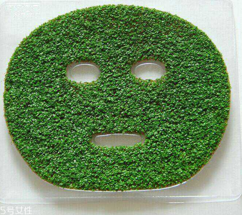 海藻面膜是什么種子？海藻面膜到底是什么？