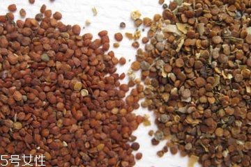 海藻面膜是清潔面膜嗎？海藻屬于清潔性面膜嗎？