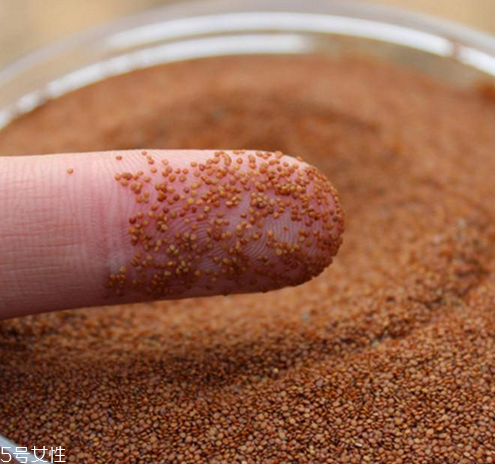 海藻面膜是哪個國家的？海藻面膜哪個牌子好用？