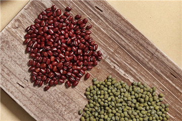 不同的豆類有哪些營養(yǎng)物質(zhì) 不同豆類補(bǔ)充什么營養(yǎng) 不同的豆類有哪些營養(yǎng)物質(zhì) 不同豆類補(bǔ)充什么營養(yǎng)