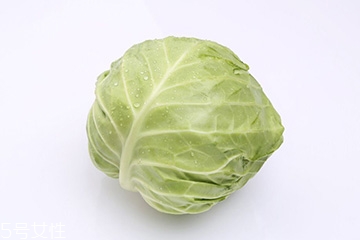 牛心菜是包菜嗎？牛心菜和包菜的區(qū)別