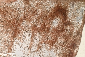 海藻面膜會(huì)發(fā)芽嗎？真的海藻面膜會(huì)發(fā)芽嗎？