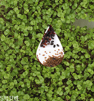 海藻面膜會過期嗎？海藻面膜有保質(zhì)期嗎？