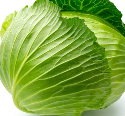 牛心菜能多吃嗎？牛心菜吃多了會怎樣？