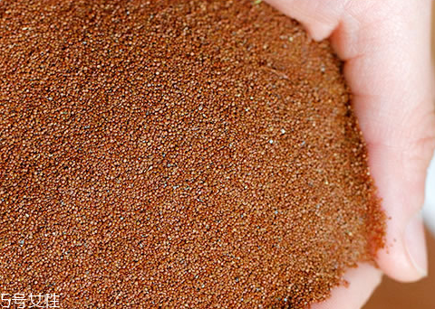 海藻面膜能加蜂蜜嗎？蜂蜜和海藻做面膜好嗎？