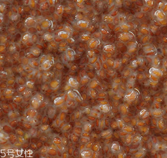 海藻面膜能加蜂蜜嗎？蜂蜜和海藻做面膜好嗎？