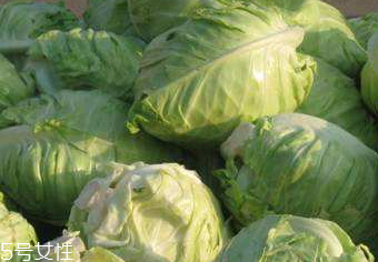 牛心菜的營養(yǎng)成分 牛心菜的營養(yǎng)成分是什么？