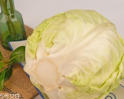 牛心菜的營養(yǎng)成分 牛心菜的營養(yǎng)成分是什么？