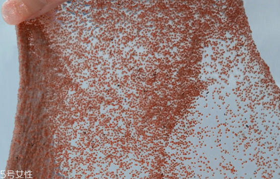 海藻面膜能去黑頭嗎？海藻面膜有去黑頭功效嗎？