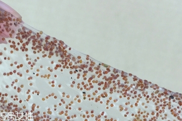 海藻面膜可以加維生素e嗎？海藻加維生素e可以用嗎？