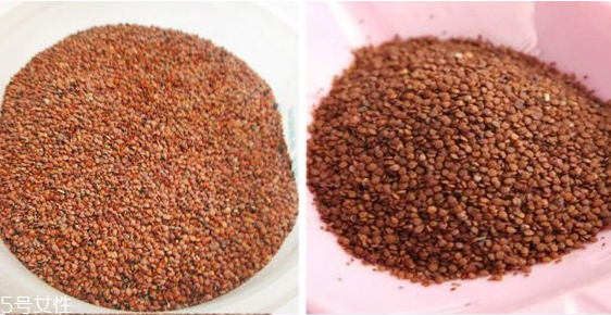 海藻面膜去角質嗎？海藻面膜有去角質功效嗎？