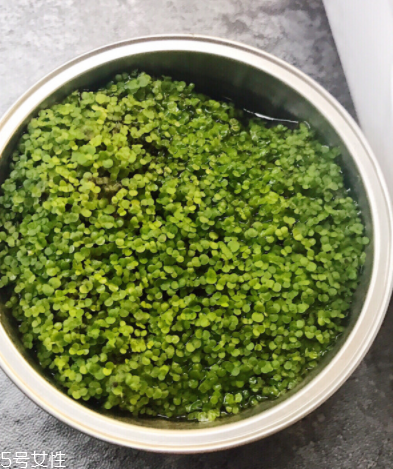 海藻面膜為什么會(huì)出膠？海藻面膜的膠是什么？