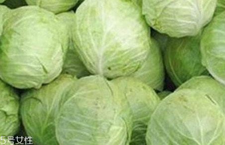 牛心菜是寒性還是熱性？牛心菜是寒性的嗎？