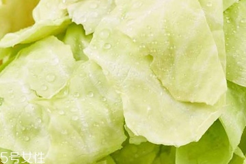 牛心菜是寒性還是熱性？牛心菜是寒性的嗎？