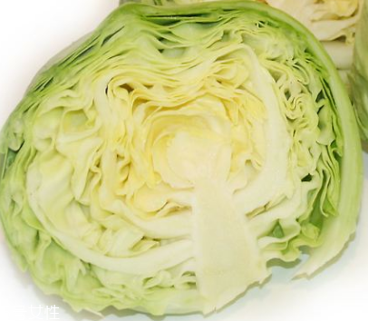 牛心菜是酸性還是堿性？牛心菜是酸性的嗎？