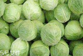 牛心菜和紫甘藍(lán)的區(qū)別 牛心菜和紫甘藍(lán)怎么分辨？