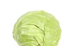 牛心菜怎么種植？牛心菜能種嗎？