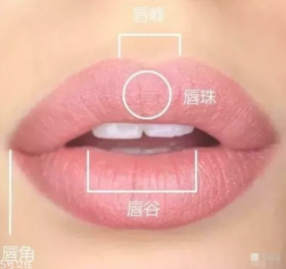 嘟嘟唇怎么畫 嘟嘟唇怎么畫圖解 嘟嘟唇怎么畫 嘟嘟唇怎么畫圖解