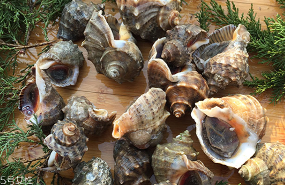 海螺會中毒嗎？吃海螺中毒多久會緩解？