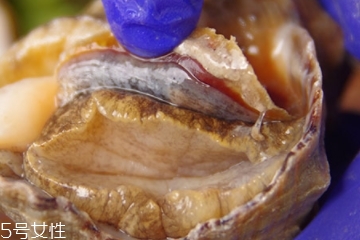 海螺可以隔夜吃嗎？海螺煮熟隔夜能吃嗎？