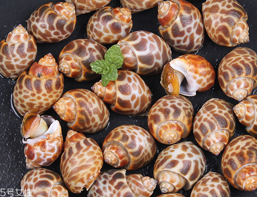 海螺可以隔夜吃嗎？海螺煮熟隔夜能吃嗎？